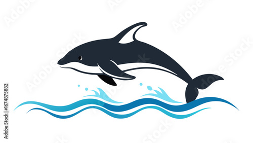 Dark blue dolphin leaping through turquoise waves jumping