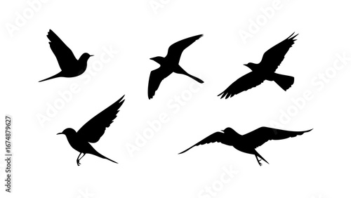 Minimalist black silhouette of a bird in flight wings