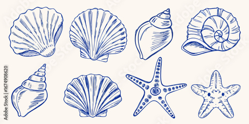Collection of hand drawn blue line art seashells and starfish on a light background