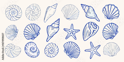 Collection of hand drawn blue line art seashells and starfish on a light background