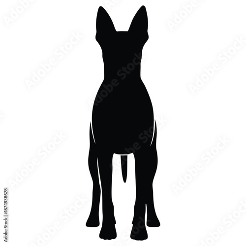 Striking black silhouette of an elegant dog standing alertly, depicted from a straight-on front perspective on a clean white background