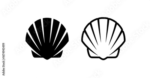 Iconic Seashell Designs A Simple and Elegant Representation of Marine Life