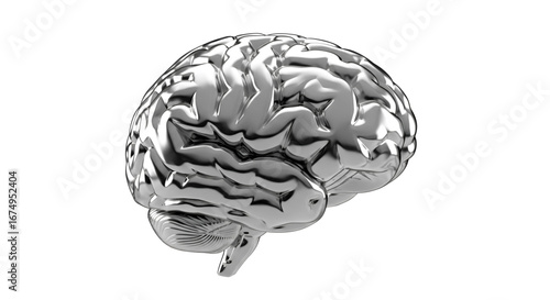 Shiny Chrome 3D brain anatomy illustration on isolated white background. 3D render of a metallic human part.