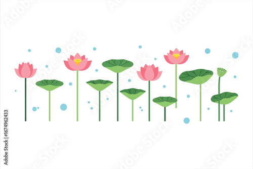 Lotus Flower Illustration