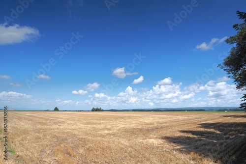 Rural roads in Hokkaido