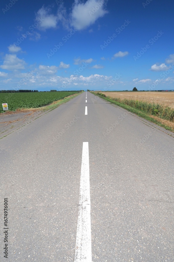 Fototapeta premium Rural roads in Hokkaido