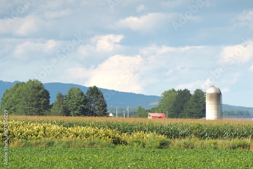 Rural landscape with a silo