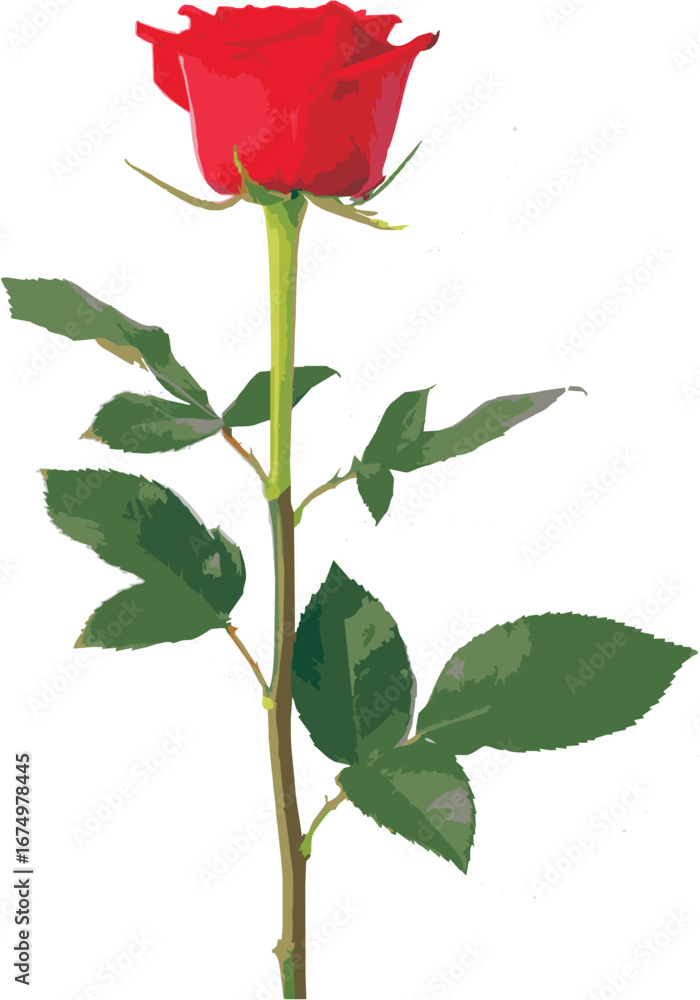 Obraz premium Single Red Rose Isolated on Transparent Background High-quality photo of a single red rose with green leaves isolated on a transparent background. Perfect for design, decoration, Valentine’s Day, wedd