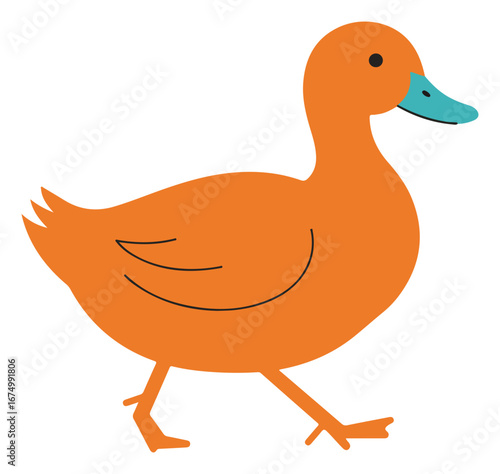 A stylized illustration of an orange duck walking with a blue beak against a white background.