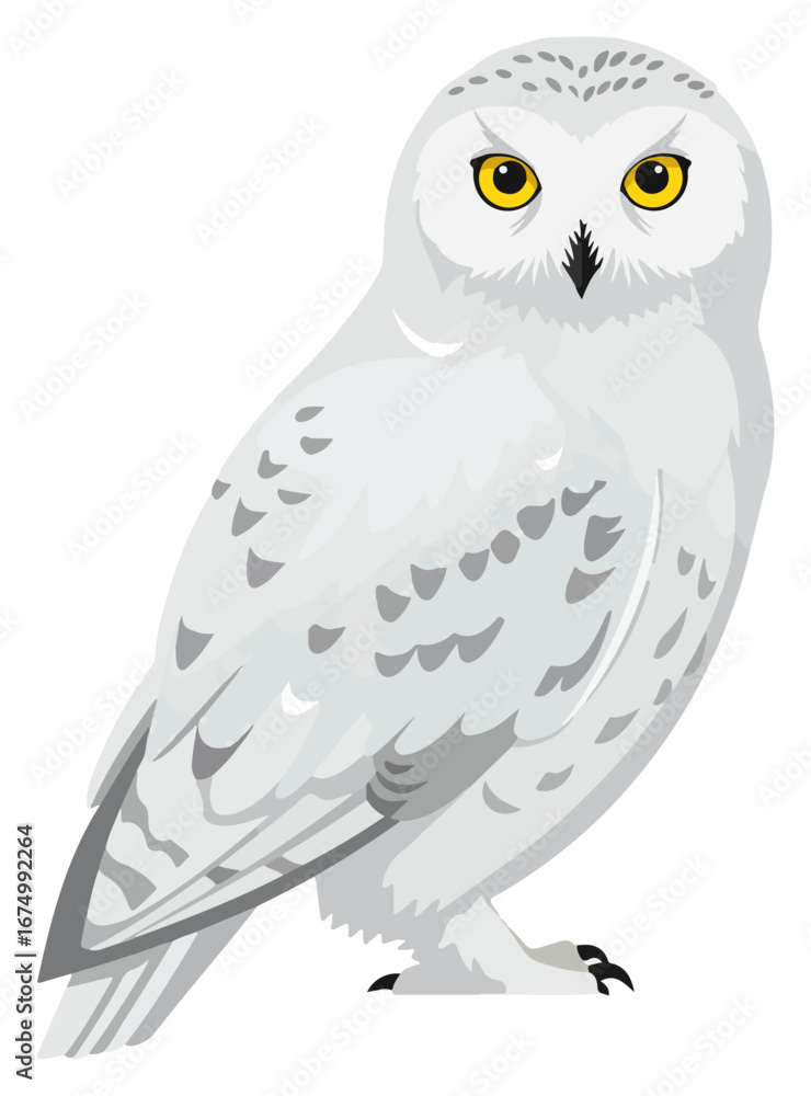 Fototapeta premium A white snowy owl with yellow eyes stands facing forward, depicted in a vector illustration.