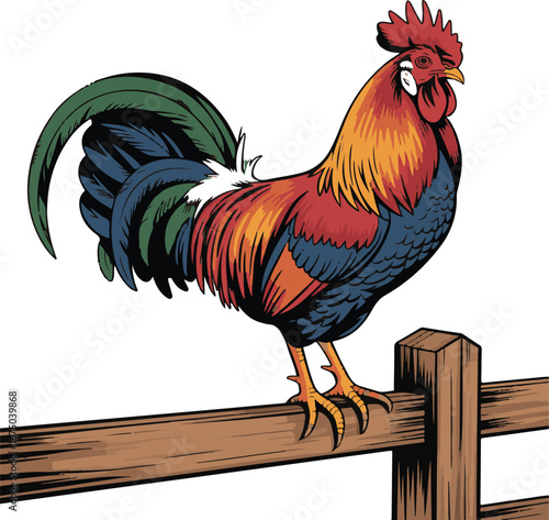 Vibrant Rooster on Fence Vector Illustration with Detailed Feather Design
