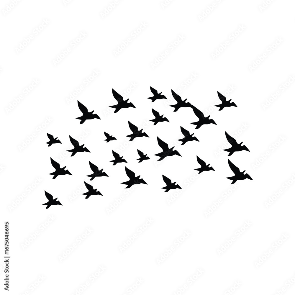 Obraz premium silhouette of a flock of pigeons on a white background