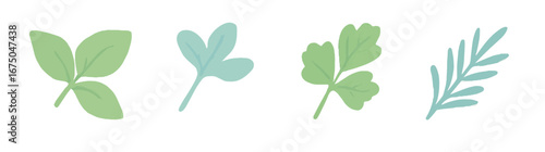Various green herb leaves, flat design, nature concept.