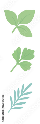 Minimalist green and blue herb leaf illustrations.