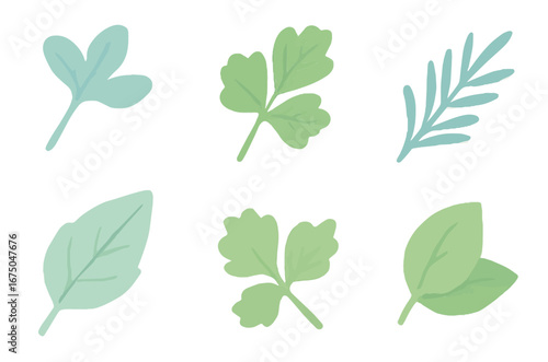 Various green herb leaves, flat design, nature concept.