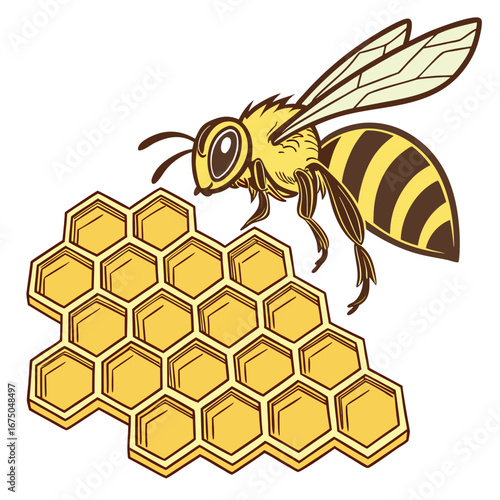 Bee and Honeycomb Illustration: A meticulously illustrated image captures a vibrant honeybee hovering over a golden honeycomb, representing the sweet nectar of nature, a symbol of life.