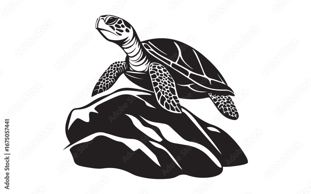 Obraz premium turtle on the beach