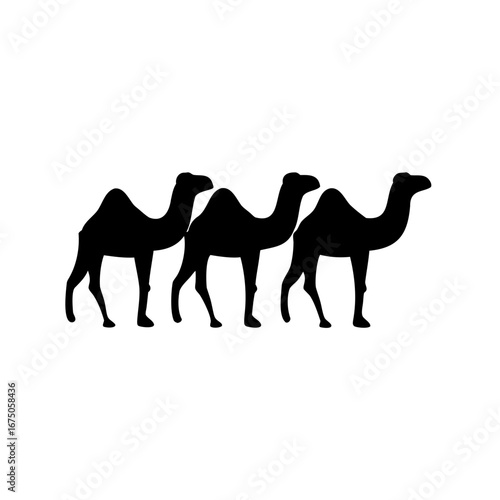 Three Camels Silhouette in a Desert Caravan, walking through the Sand