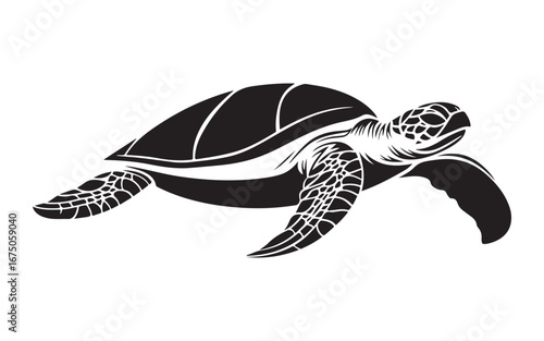 sea turtle vector illustration