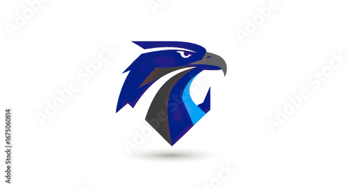 Stylized blue eagle head mascot with sharp geometric features and a fierce, determined expression.