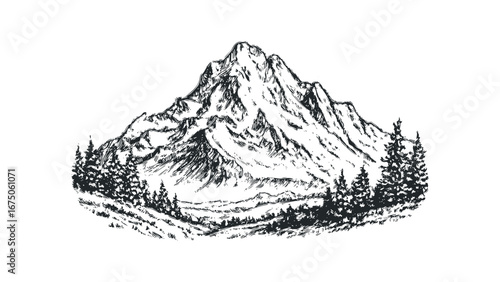 Detailed Sketch of Majestic Mountain Peak Surrounded by Evergreen Trees. Vector hand drawn illustration