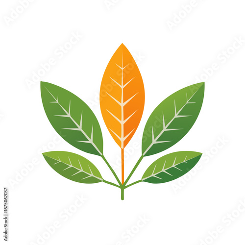 citrus leaves clipping path