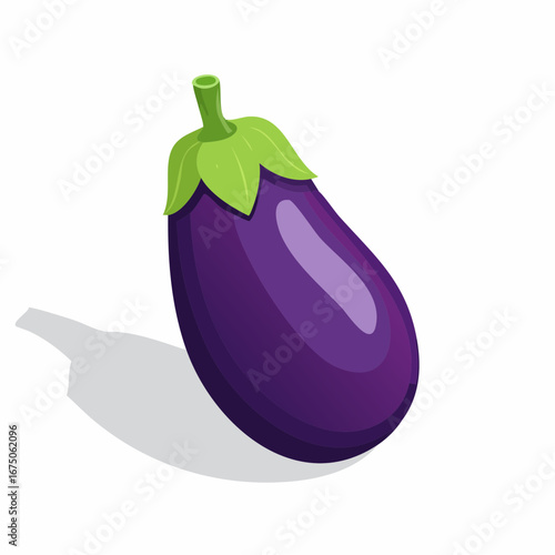 eggplant one aubergine eggplant isolated white,vector illustration