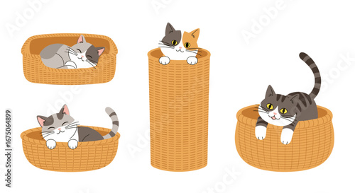 Adorable kittens relaxing and playing in cozy woven baskets and a tall scratching post