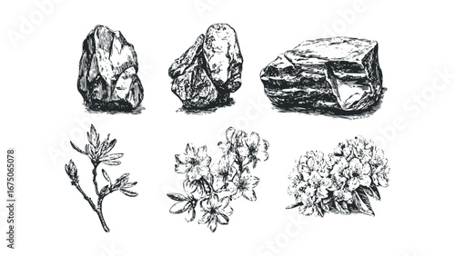 Nature elements in sketch style with rocks and flowering branches. Vector hand drawn illustration