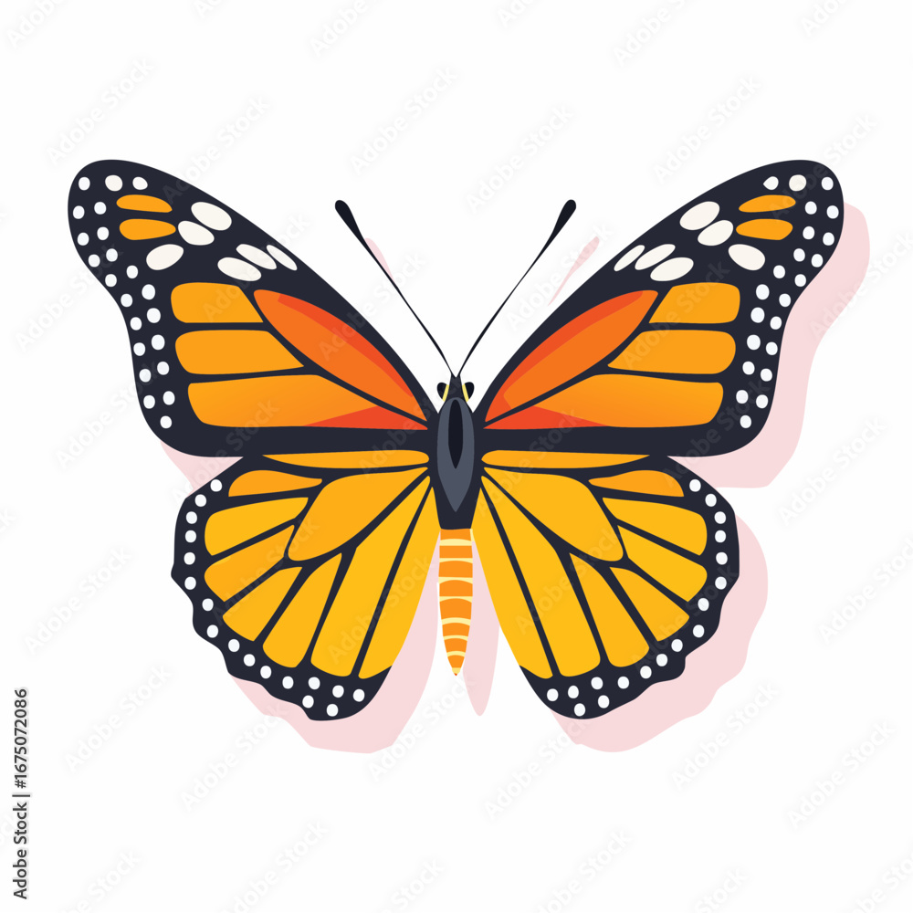 Fototapeta premium Orange And Yellow Monarch Butterfly Illustration