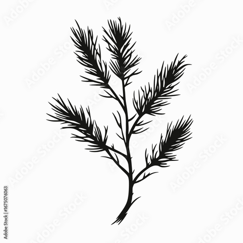 Elegant sprig art evokes natural beauty in black and white silhouette