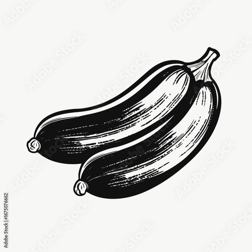 Two simple sketched zucchinis placed against a white backdrop silhouette