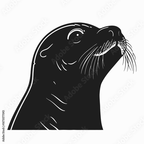 Detailed artistic sea lion gaze up, a captivating animal portrait silhouette
