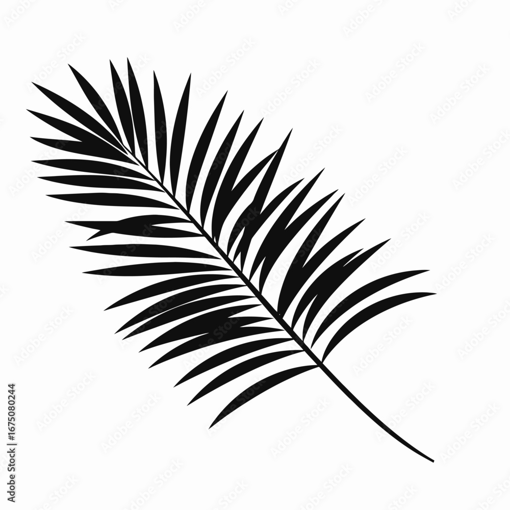 Fototapeta premium Striking dark palm frond art on a pristine white background silhouette