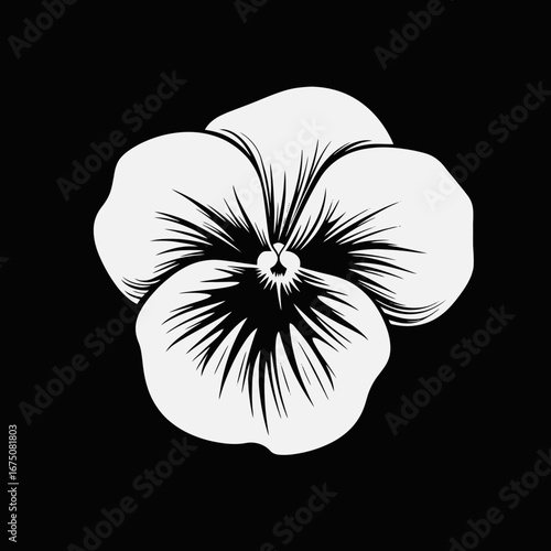 Isolated artistic pansy flower illustration, a stark monochrome botanical art silhouette
