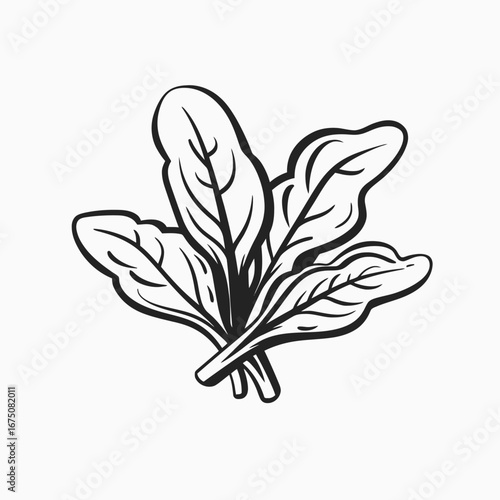 Artistic depiction of spinach leaves, perfect for cooking illustrations silhouette