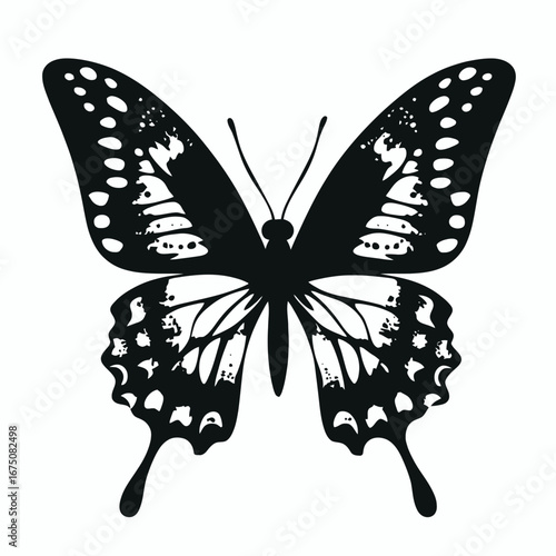 Intricate patterned butterfly with graceful wing shapes, shown in bold silhouette