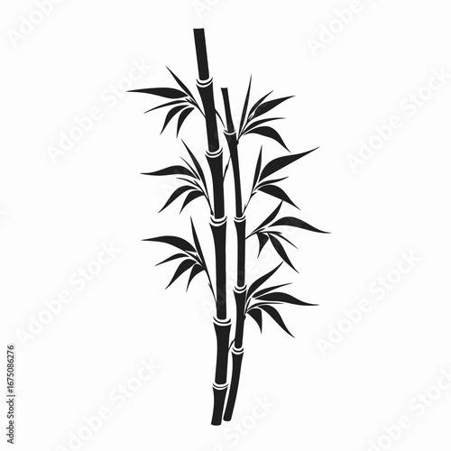 Elegant botanical black bamboo stems with lush leaves detailed minimal silhouette