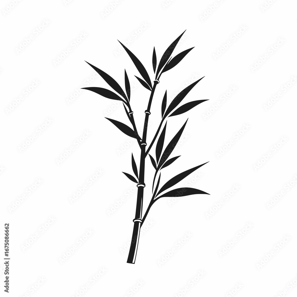 Obraz premium Graceful bamboo stalk with delicate leaves, a minimalist botanical design silhouette
