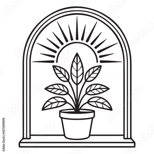 Potted Plant with Sun Rays – Minimalist Black and White Window Frame Vector Art