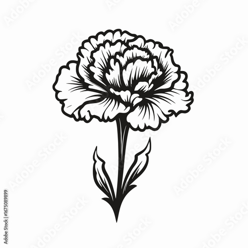 Exquisite black and white carnation floral art design vector illustration silhouette