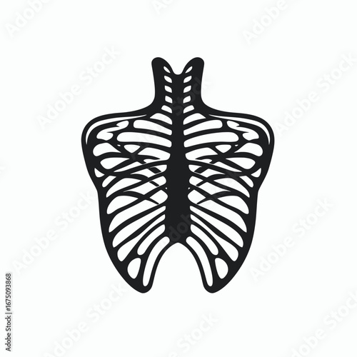 Stark skeletal structure showing the chest cage system isolated silhouette