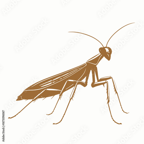 Elegant praying mantis illustration with striking design on a white background silhouette
