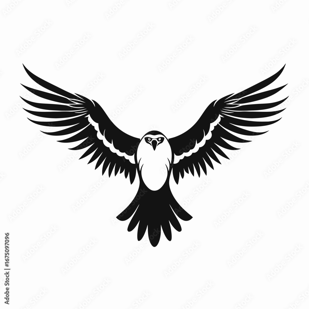 Obraz premium Majestic and strong bird spreading its wings into the sky silhouette