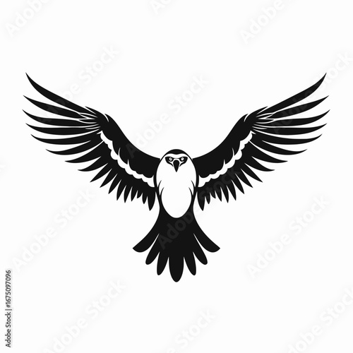 Majestic and strong bird spreading its wings into the sky silhouette