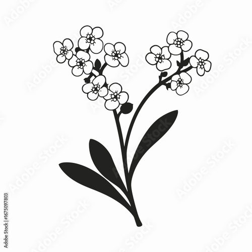 Delightful forget me not wildflower plant and floral design isolated vector, silhouette