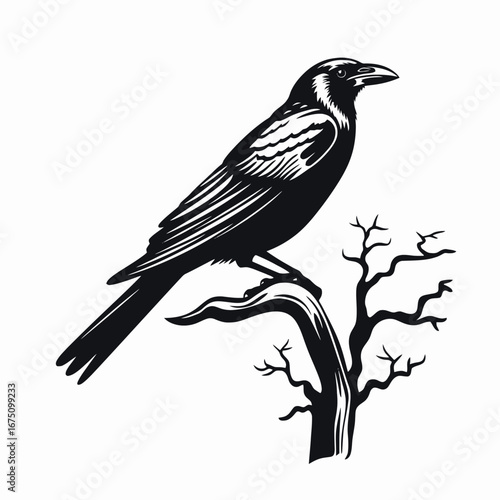 Raven perched upon a dead tree branch, dark and graphic silhouette