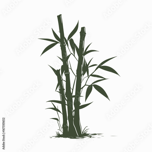 Elegant green bamboo stalks with leaves create a peaceful plant silhouette