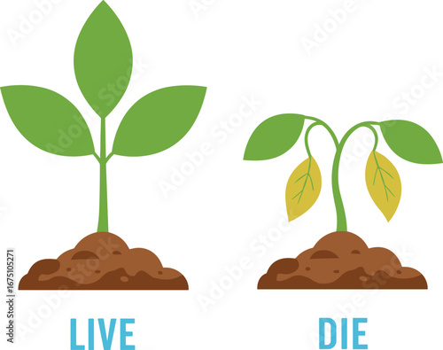 Cartoon plant health comparison showing live green leaves and dying wilted stems, environmental care concept, vector illustration isolated