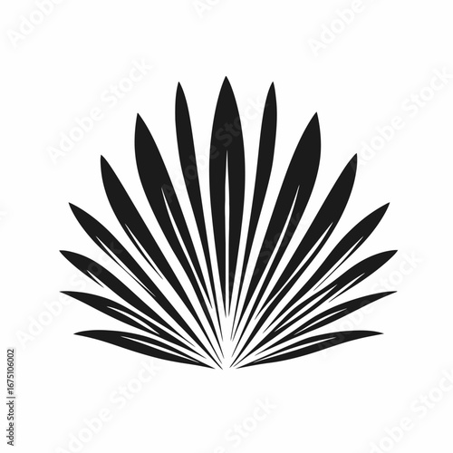 Abstract palm leaves fan in minimalistic monochrome style silhouette